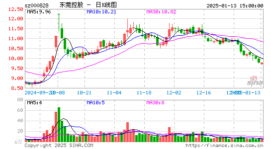 东莞控股