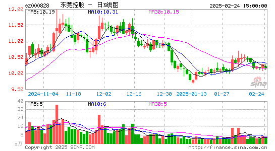 东莞控股