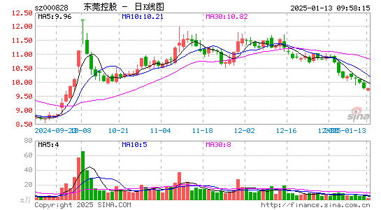 东莞控股