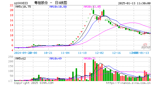 粤桂股份