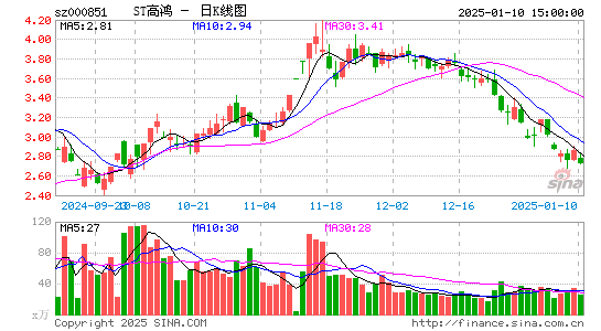 高鸿股份