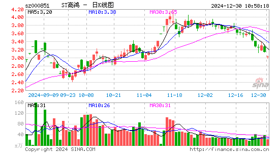 高鸿股份