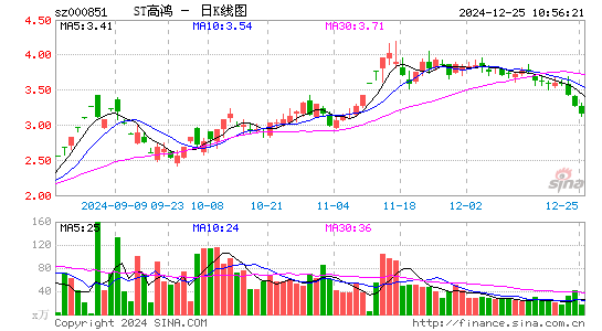 高鸿股份