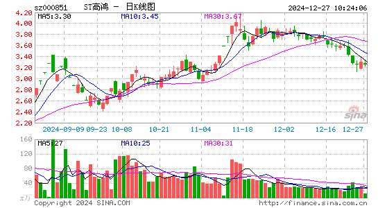 高鸿股份