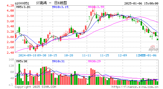 高鸿股份