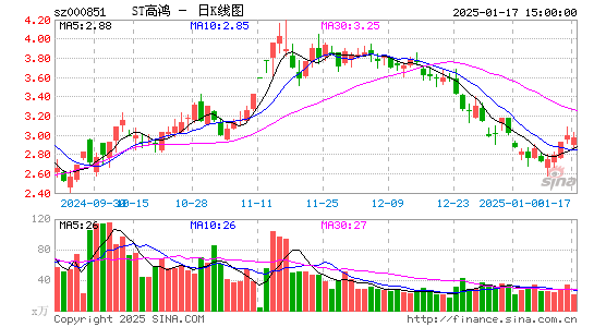 高鸿股份