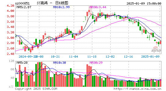 高鸿股份