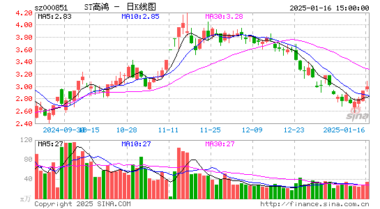 高鸿股份