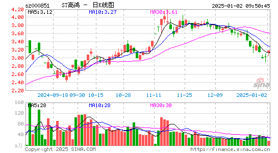 高鸿股份