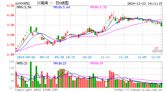 高鸿股份