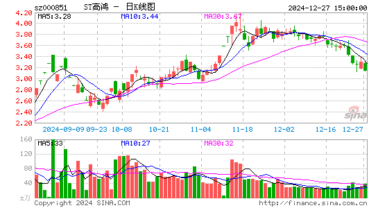 高鸿股份