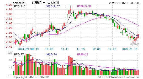 高鸿股份