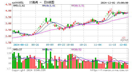 高鸿股份