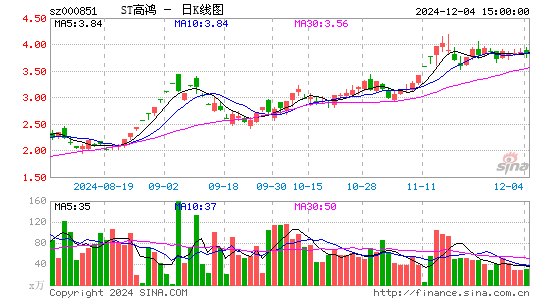 高鸿股份