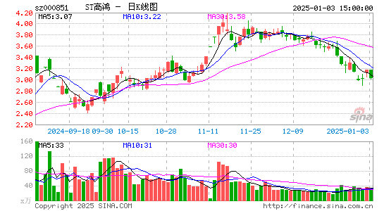 高鸿股份