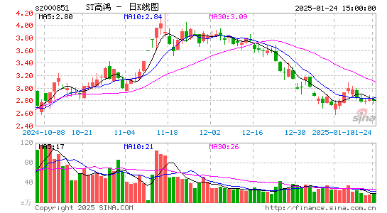 高鸿股份