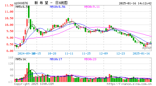 新希望