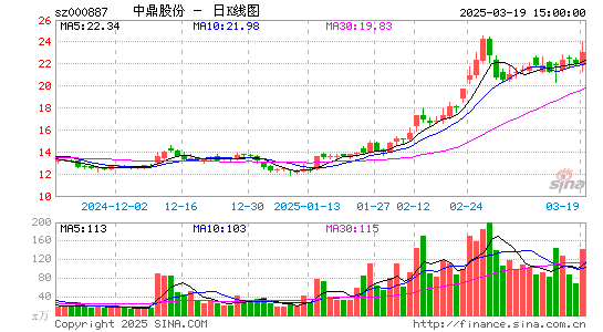 中鼎股份