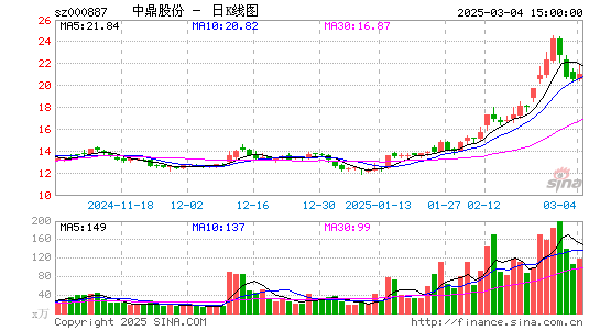 中鼎股份