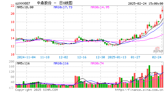 中鼎股份