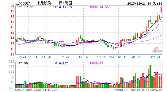 中鼎股份