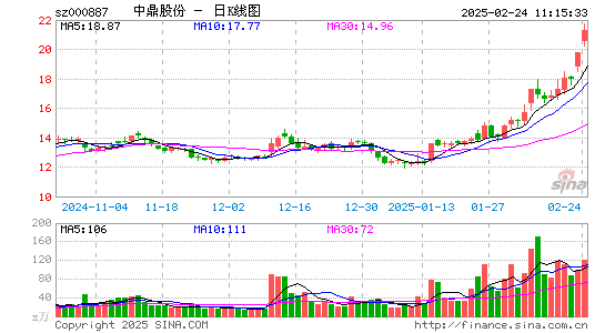 中鼎股份