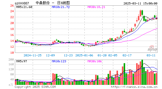 中鼎股份