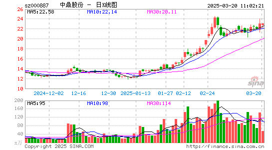 中鼎股份