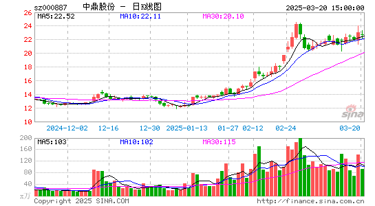 中鼎股份