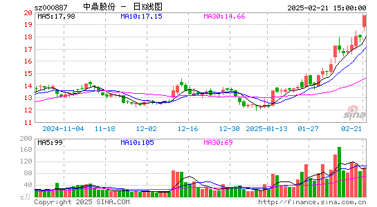 中鼎股份