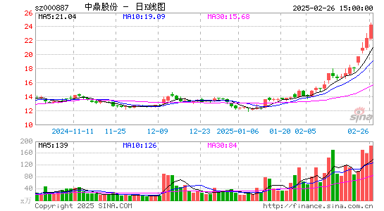 中鼎股份