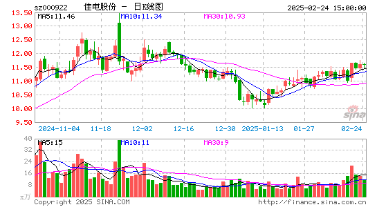 佳电股份