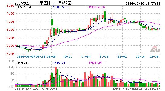 中钢国际