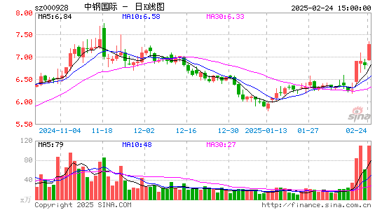 中钢国际