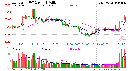 中钢国际