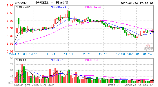 中钢国际