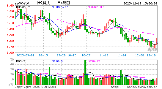 �����Ƽ�