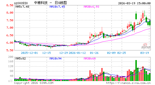 �����Ƽ�