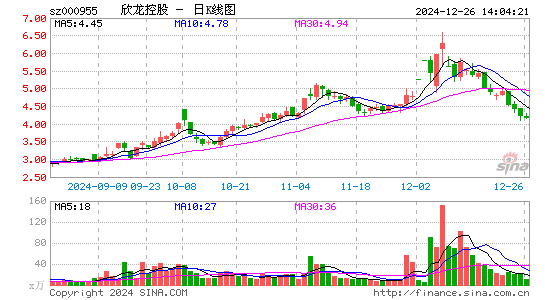 欣龙控股