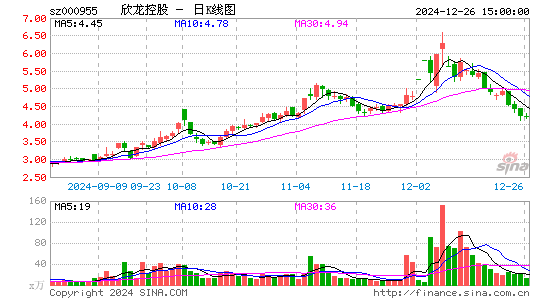 欣龙控股