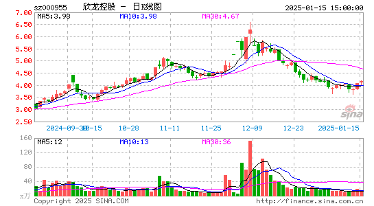 欣龙控股