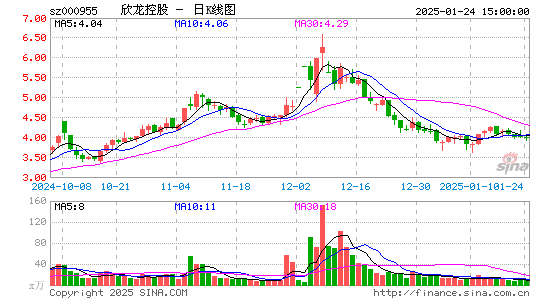 欣龙控股