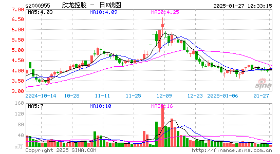 欣龙控股