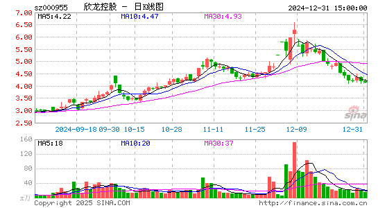 欣龙控股