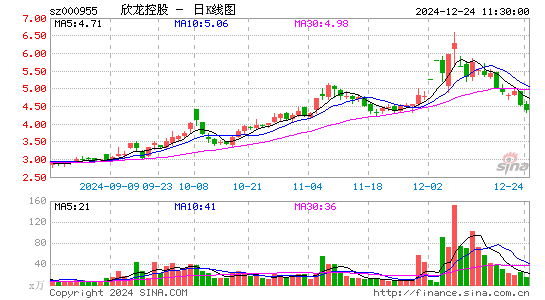 欣龙控股