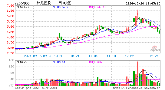 欣龙控股