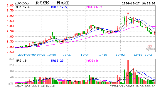 欣龙控股