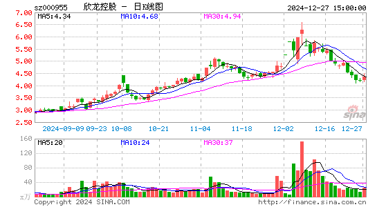 欣龙控股