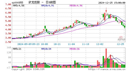 欣龙控股