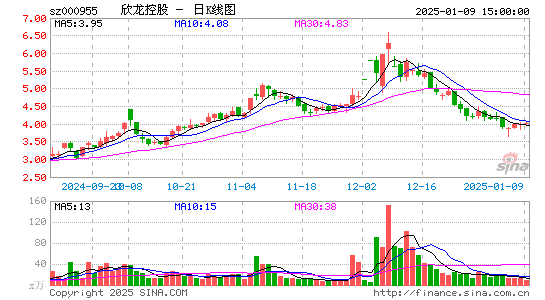 欣龙控股